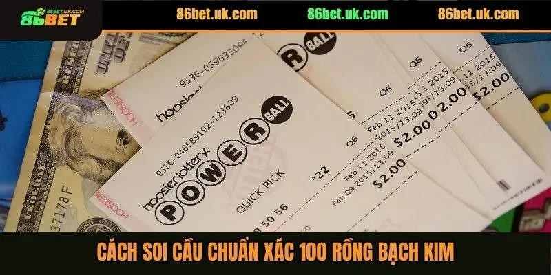 Cách soi cầu chuẩn xác 100 rồng bạch kim