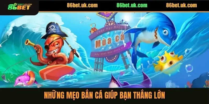 Những mẹo săn cá giúp mọi hội viên có thể thắng lớn