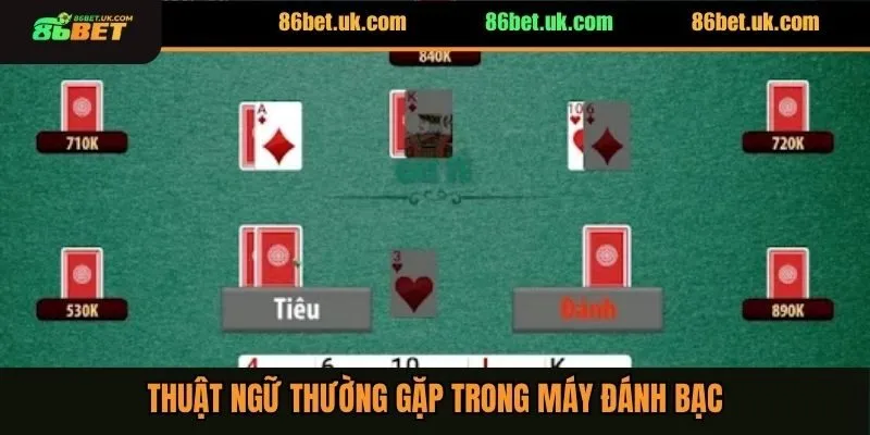 Thuật ngữ thường gặp trong máy đánh bạc
